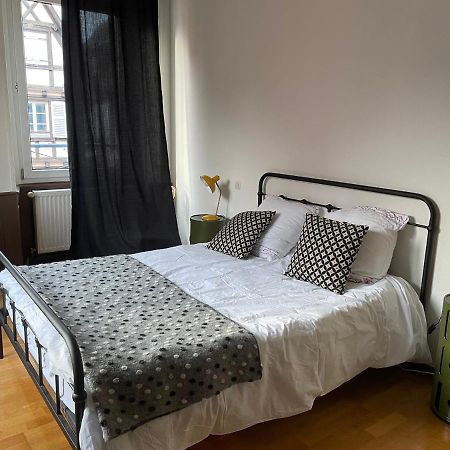 Il Piano Nobile Apartment Колмар Екстериор снимка